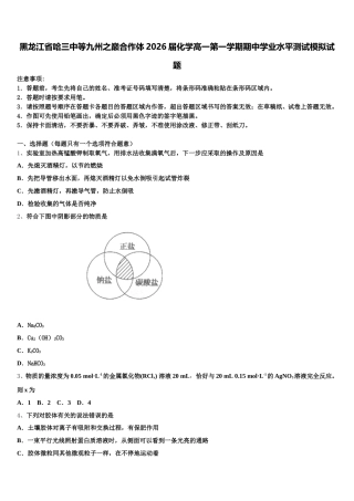 黑龙江省哈三中等九州之巅合作体2026届化学高一第一学期期中学业水平测试模拟试题含解析