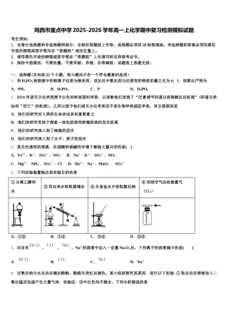 鸡西市重点中学2025-2026学年高一上化学期中复习检测模拟试题含解析