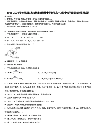 2025-2026学年黑龙江省海林市朝鲜族中学化学高一上期中教学质量检测模拟试题含解析