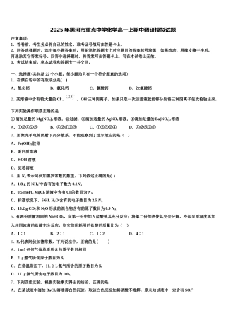 2025年黑河市重点中学化学高一上期中调研模拟试题含解析