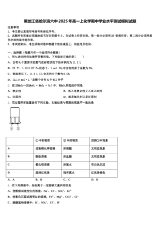 黑龙江省哈尔滨六中2025年高一上化学期中学业水平测试模拟试题含解析