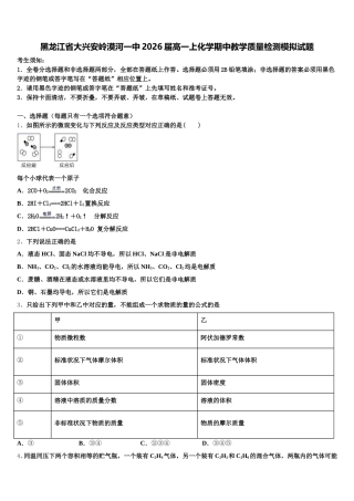 黑龙江省大兴安岭漠河一中2026届高一上化学期中教学质量检测模拟试题含解析