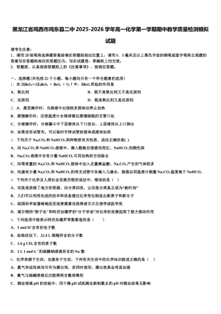 黑龙江省鸡西市鸡东县二中2025-2026学年高一化学第一学期期中教学质量检测模拟试题含解析