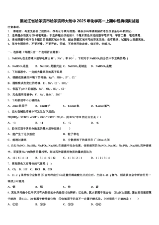 黑龙江省哈尔滨市哈尔滨师大附中2025年化学高一上期中经典模拟试题含解析