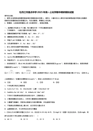 牡丹江市重点中学2025年高一上化学期中调研模拟试题含解析