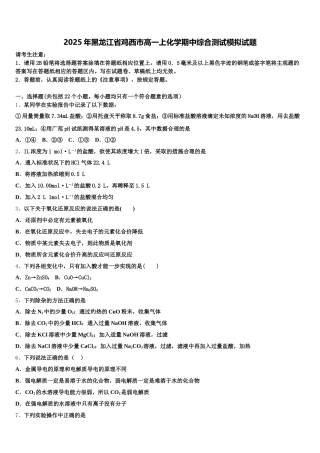 2025年黑龙江省鸡西市高一上化学期中综合测试模拟试题含解析