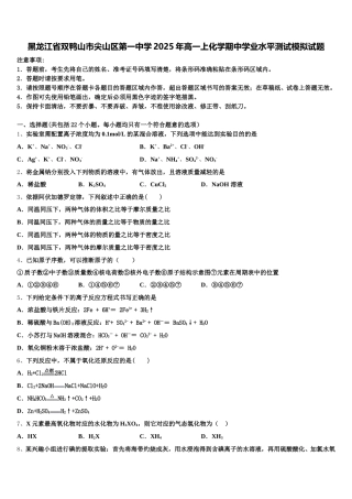 黑龙江省双鸭山市尖山区第一中学2025年高一上化学期中学业水平测试模拟试题含解析