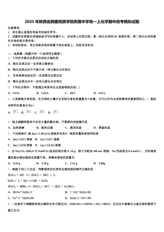 2025年陕西省西藏民族学院附属中学高一上化学期中统考模拟试题含解析