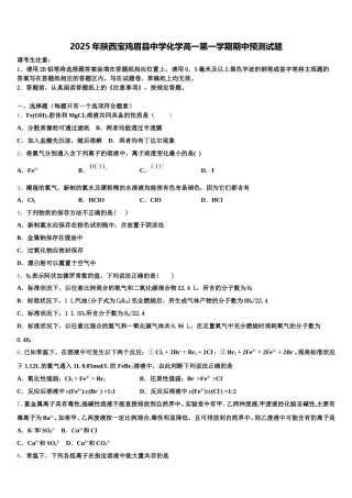 2025年陕西宝鸡眉县中学化学高一第一学期期中预测试题含解析