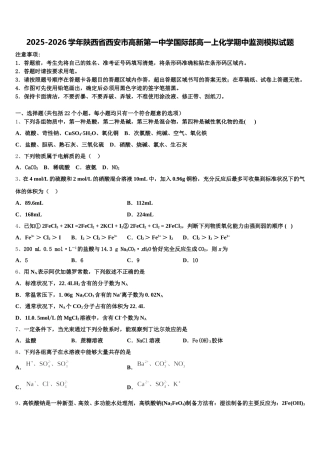 2025-2026学年陕西省西安市高新第一中学国际部高一上化学期中监测模拟试题含解析