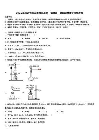 2025年陕西省商洛市洛南县高一化学第一学期期中联考模拟试题含解析