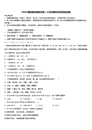 2026届陕西省咸阳市高一上化学期中综合测试试题含解析