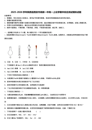 2025-2026学年陕西省西安市高新一中高一上化学期中综合测试模拟试题含解析