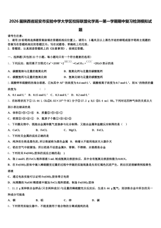 2026届陕西省延安市实验中学大学区校际联盟化学高一第一学期期中复习检测模拟试题含解析