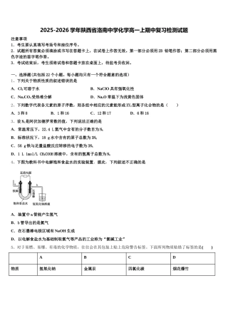 2025-2026学年陕西省洛南中学化学高一上期中复习检测试题含解析