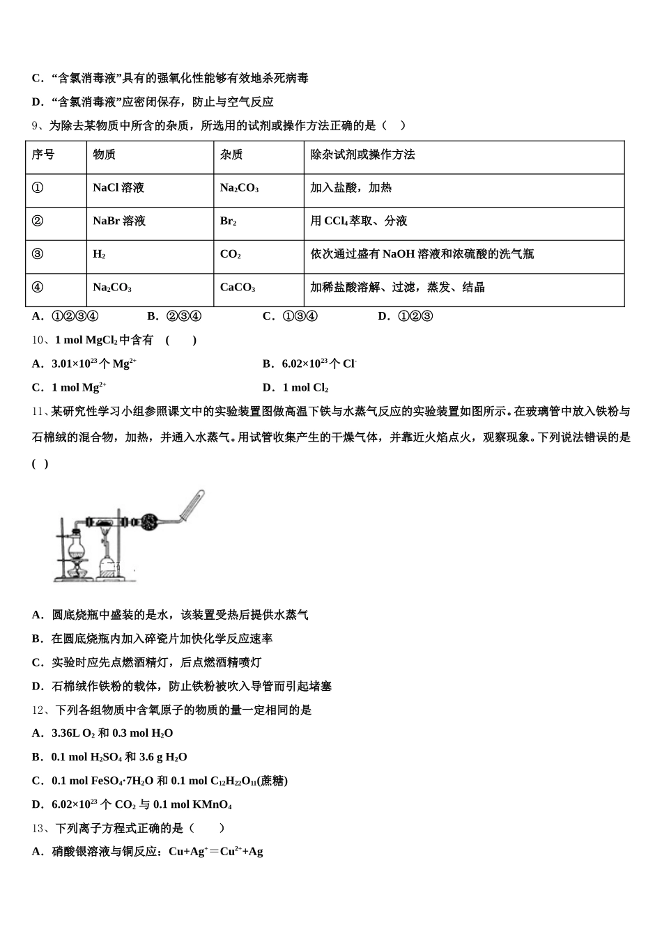 陕西省榆林市横山区横山中学2025-2026学年高一上化学期中学业水平测试模拟试题含解析_第2页