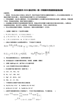 陕西咸阳市2026届化学高一第一学期期中质量跟踪监视试题含解析