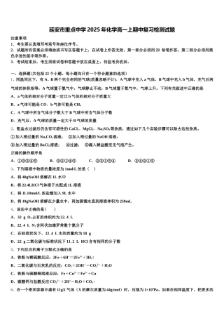 延安市重点中学2025年化学高一上期中复习检测试题含解析