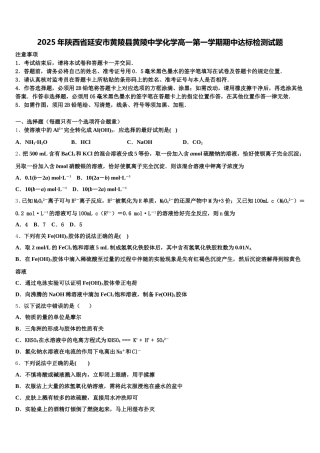 2025年陕西省延安市黄陵县黄陵中学化学高一第一学期期中达标检测试题含解析