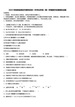 2025年陕西省西安市碑林区铁一中学化学高一第一学期期中经典模拟试题含解析