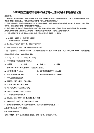 2025年浙江省宁波市镇海中学化学高一上期中学业水平测试模拟试题含解析