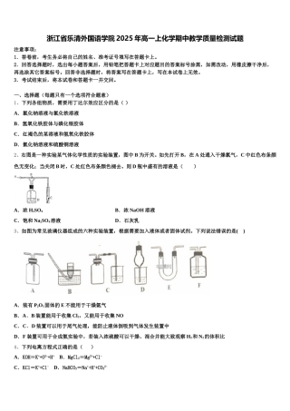 浙江省乐清外国语学院2025年高一上化学期中教学质量检测试题含解析
