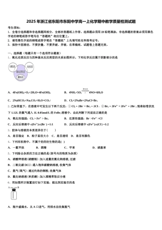 2025年浙江省东阳市东阳中学高一上化学期中教学质量检测试题含解析