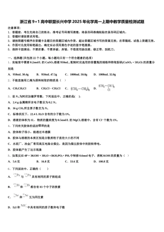 浙江省9+1高中联盟长兴中学2025年化学高一上期中教学质量检测试题含解析