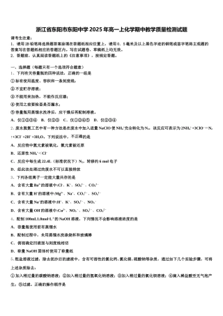 浙江省东阳市东阳中学2025年高一上化学期中教学质量检测试题含解析