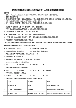 浙江省名校协作体联盟2025年化学高一上期中复习检测模拟试题含解析