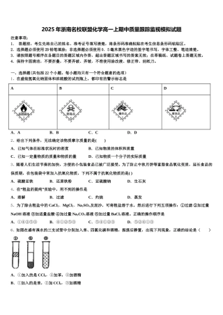 2025年浙南名校联盟化学高一上期中质量跟踪监视模拟试题含解析