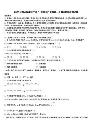 2025-2026学年浙江省“七彩阳光”化学高一上期中质量检测试题含解析