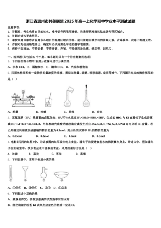 浙江省温州市共美联盟2025年高一上化学期中学业水平测试试题含解析