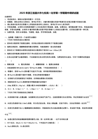 2025年浙江省嘉兴市七校高一化学第一学期期中调研试题含解析