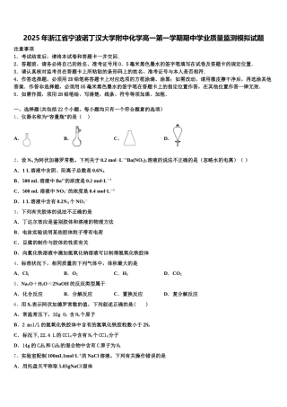 2025年浙江省宁波诺丁汉大学附中化学高一第一学期期中学业质量监测模拟试题含解析