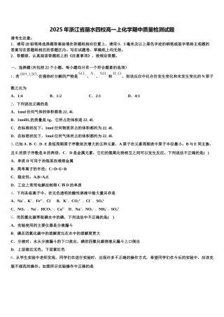 2025年浙江省丽水四校高一上化学期中质量检测试题含解析
