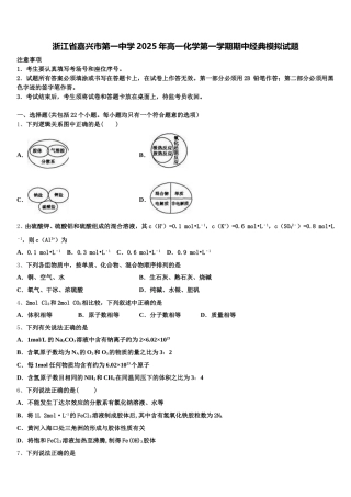浙江省嘉兴市第一中学2025年高一化学第一学期期中经典模拟试题含解析