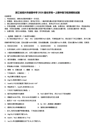 浙江省绍兴市诸暨中学2026届化学高一上期中复习检测模拟试题含解析