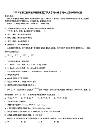 2025年浙江省宁波市鄞州区诺丁汉大学附中化学高一上期中考试试题含解析