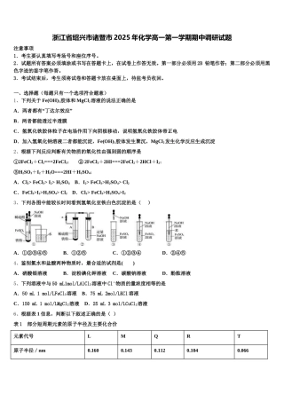 浙江省绍兴市诸暨市2025年化学高一第一学期期中调研试题含解析
