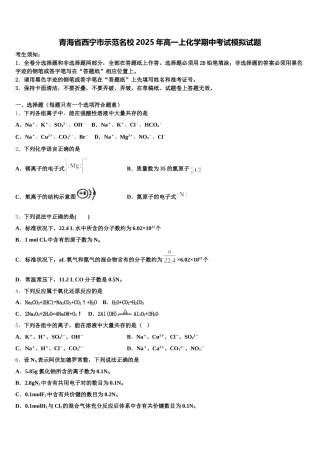 青海省西宁市示范名校2025年高一上化学期中考试模拟试题含解析