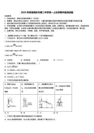 2025年青海海东市第二中学高一上化学期中监测试题含解析