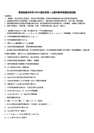 青海省重点中学2026届化学高一上期中教学质量检测试题含解析