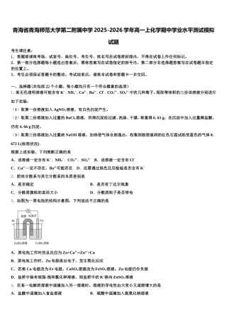 青海省青海师范大学第二附属中学2025-2026学年高一上化学期中学业水平测试模拟试题含解析