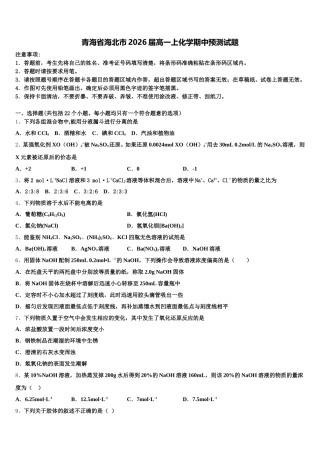 青海省海北市2026届高一上化学期中预测试题含解析
