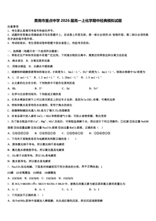 黄南市重点中学2026届高一上化学期中经典模拟试题含解析