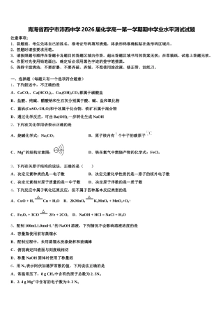 青海省西宁市沛西中学2026届化学高一第一学期期中学业水平测试试题含解析