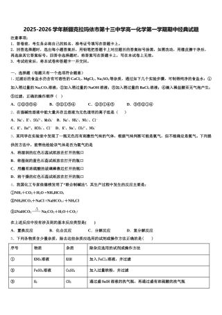 2025-2026学年新疆克拉玛依市第十三中学高一化学第一学期期中经典试题含解析