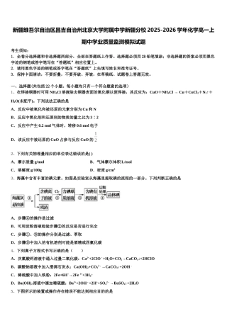 新疆维吾尔自治区昌吉自治州北京大学附属中学新疆分校2025-2026学年化学高一上期中学业质量监测模拟试题含解析