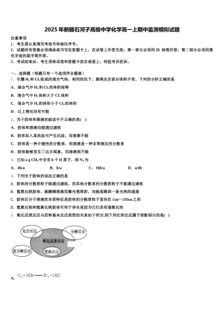 2025年新疆石河子高级中学化学高一上期中监测模拟试题含解析